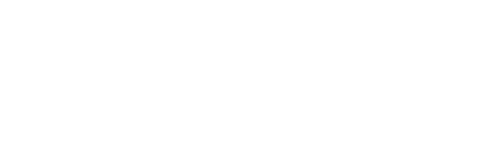 Chartis RiskTech 100 WHT
