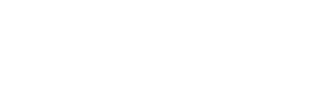 Chartis RiskTech 100 WHT