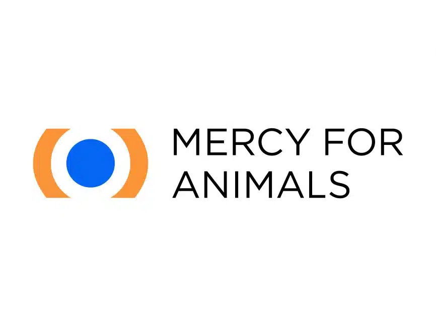 Customer story: Mercy for Animals